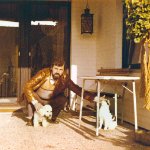 ein Bild aus dem Album