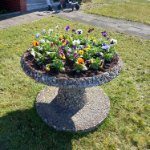 das zu löschende Bild