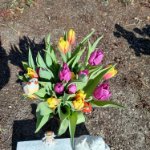 ein Bild aus dem Album